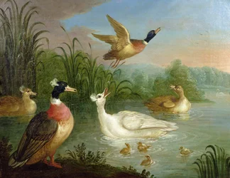 Patos en un paisaje fluvial